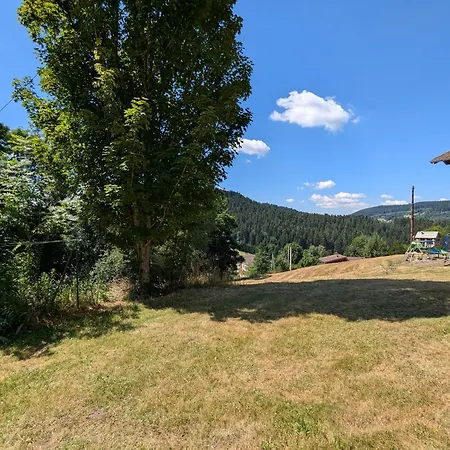 Ferienhaus Maison 4 Pers A Entre Et Montagne Avec Terrasse - Fr-1-589-836 Gérardmer